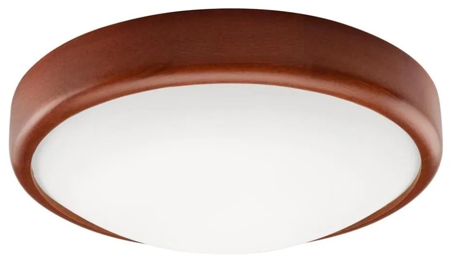 Plafoniera LED 1x12W/230V