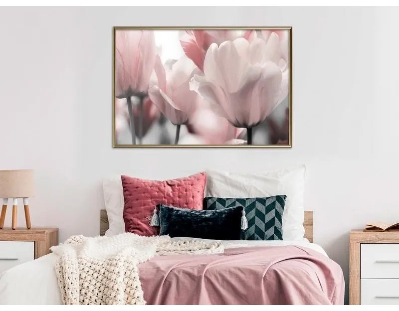 Poster Pastel Tulips II