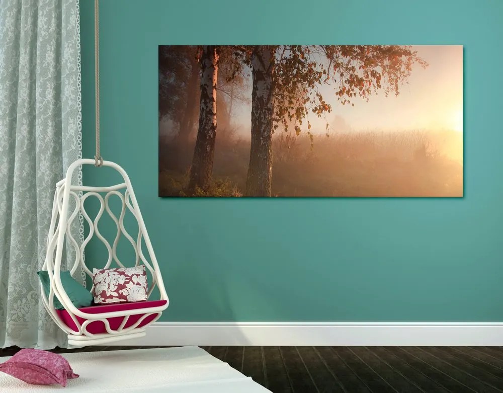 Quadro su tela – Foresta autunnale nebbiosa