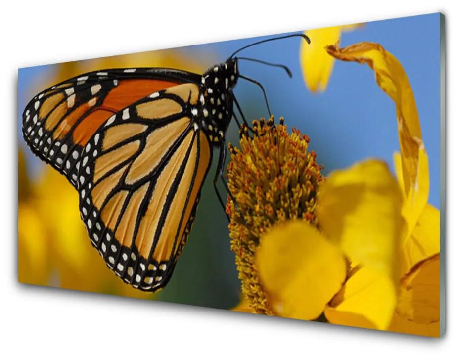 Quadro in vetro Farfalla Fiore Natura 100x50 cm