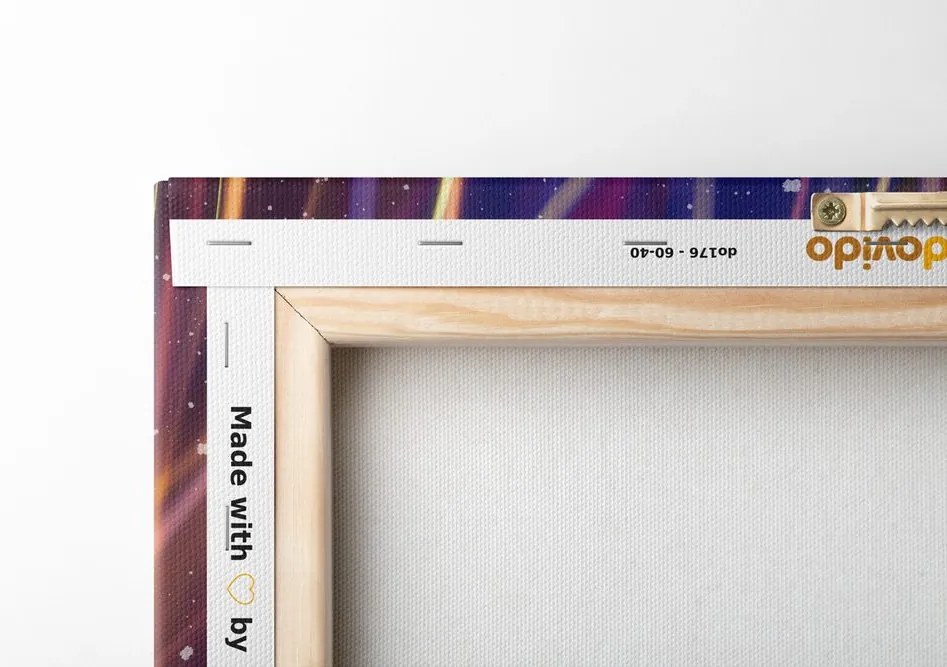Quadro su tela – Astrazione romantica