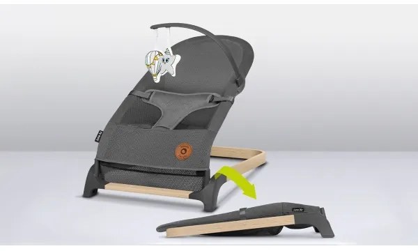 Lionelo - Altalena per bambini JUNE grigio