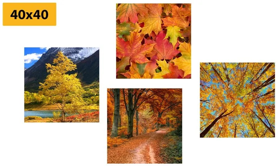 Set di quadri – Natura autunnale in colori splendidi