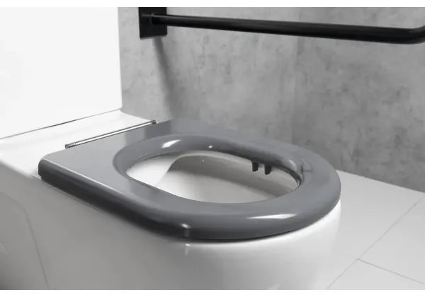 Sapho - Sedile WC SoftClose grigio
