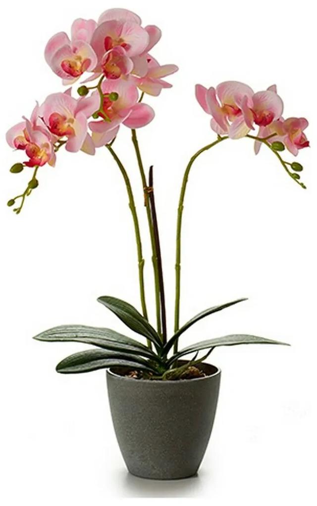 Pianta Decorativa Orchidea 19 x 48 x 24 cm Plastica (4 Unità)
