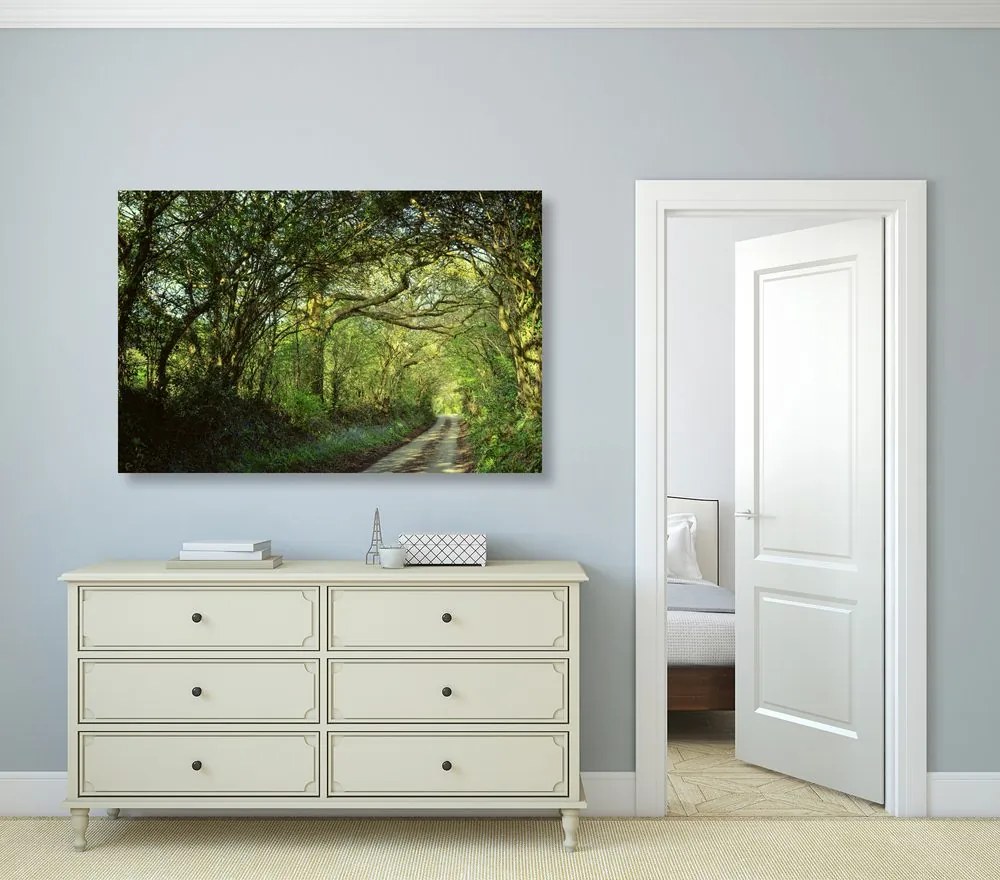 Quadro su tela – Foresta da fiaba
