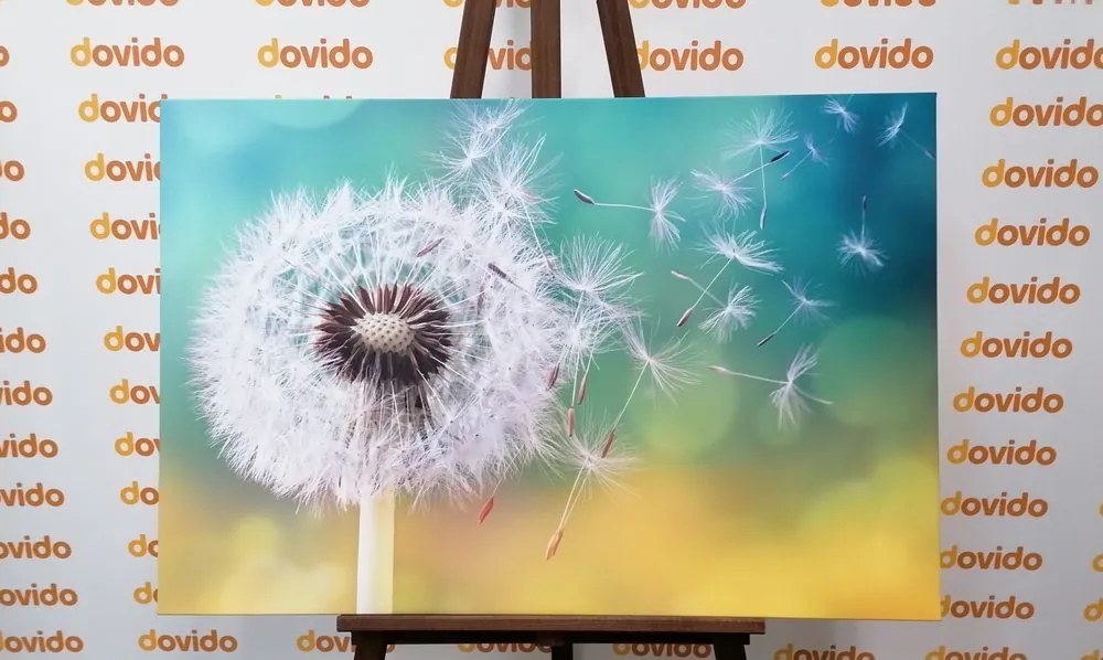 Stampa su tela – Soffione magico