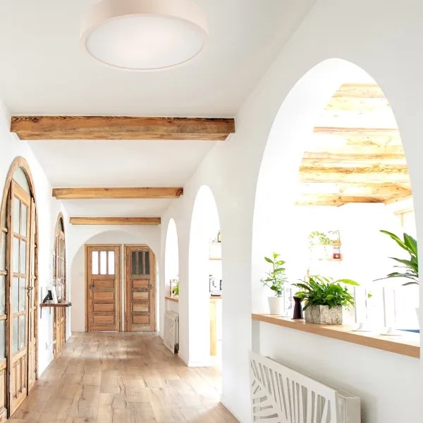 Lampada da soffitto 2xE27/60W/230V