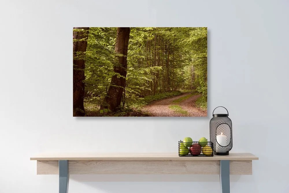 Quadro su tela – Foresta verde