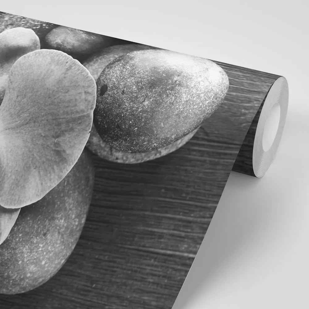 Carta da parati – Orchidea e pietre in bianco e nero