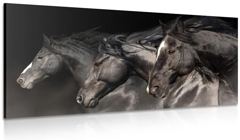 Quadro su tela – Tre cavalli al galoppo