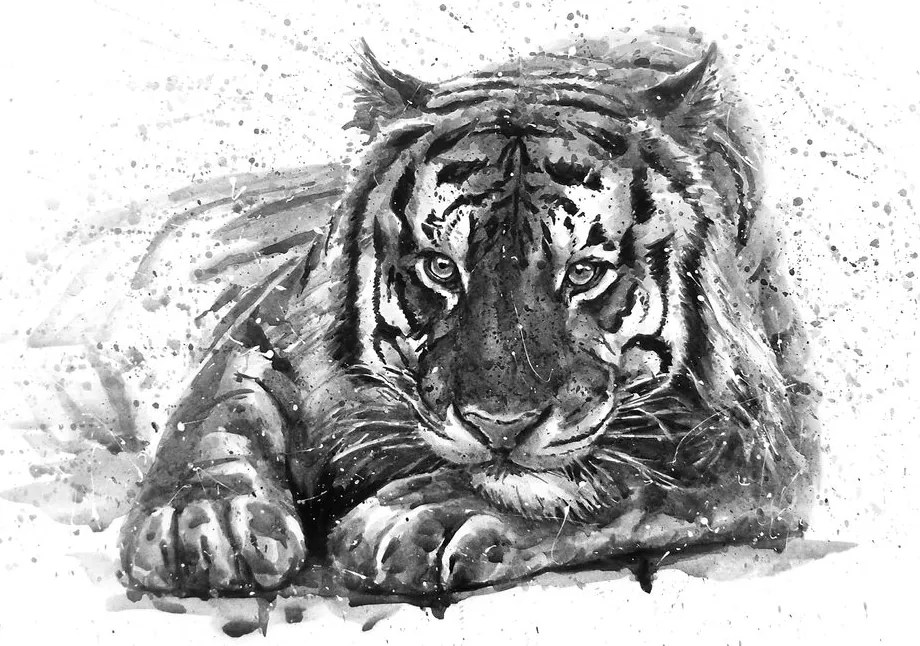 Carta da parati autoadesiva – Predatore in bianco e nero