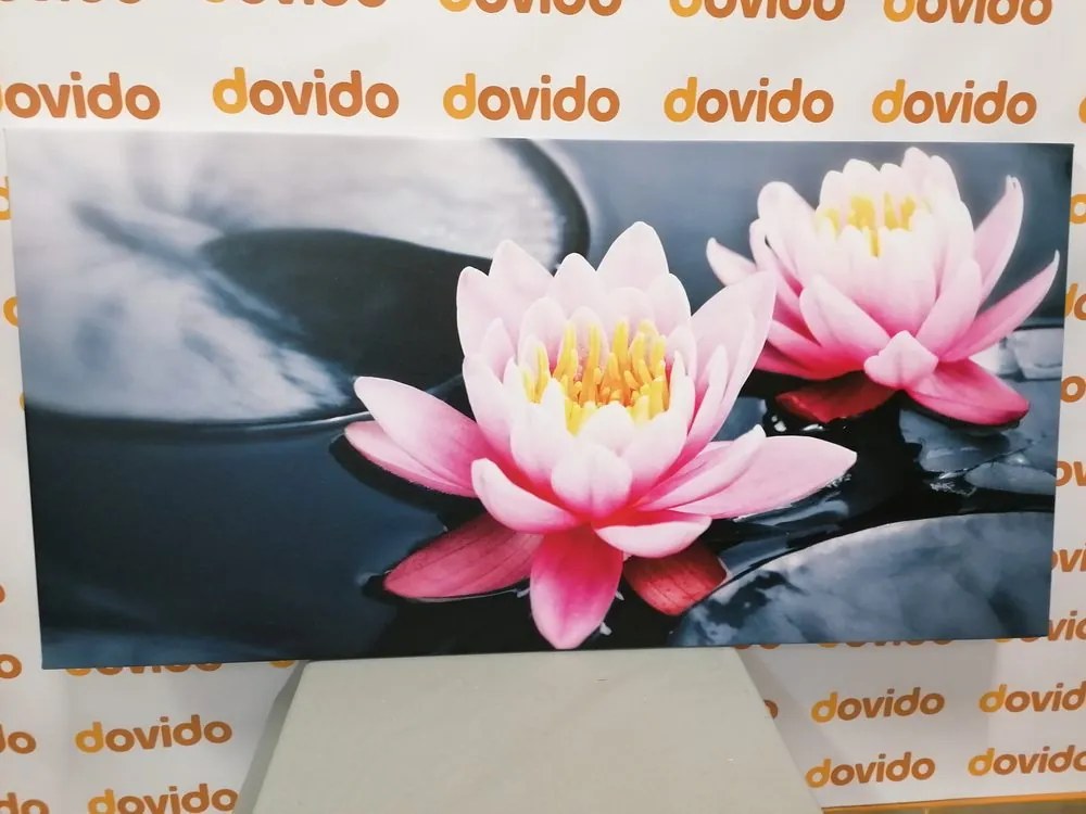 Quadro su tela – Fiore di loto nel lago