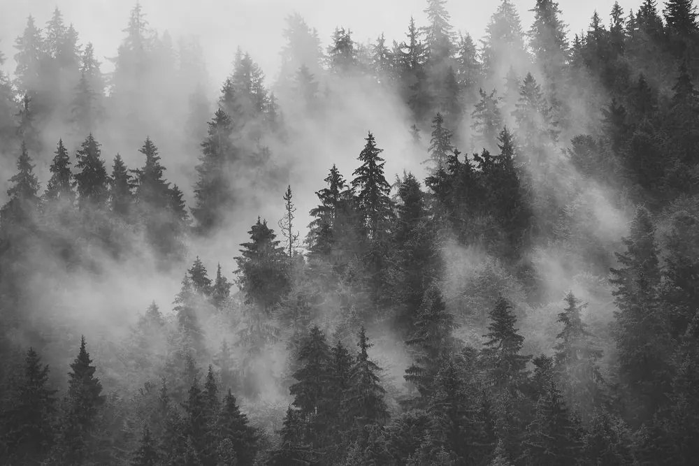 Stampa su tela – Montagne nella nebbia in bianco e nero