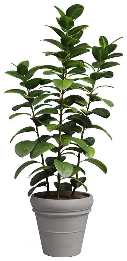 Vaso in terracotta ø 37 cm Mariza - Artevasi