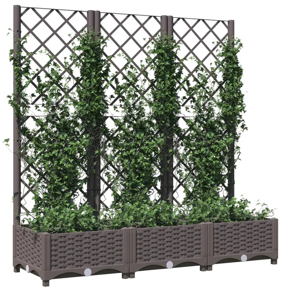 Fioriera da Giardino con Graticcio Marrone 120x40x121,5cm in PP