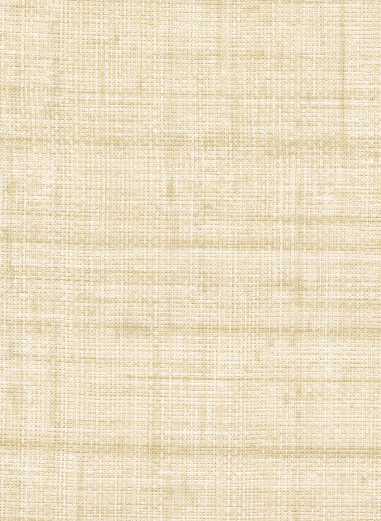 Élitis Carta da parati Abaca - VP 983 04