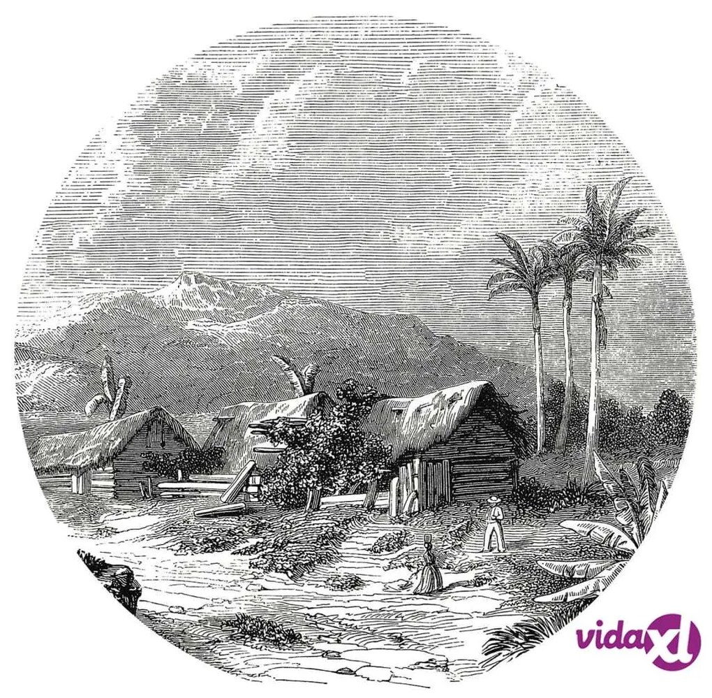 WallArt Carta da Parati Circolare Landscape of Guadeloupe 142,5 cm
