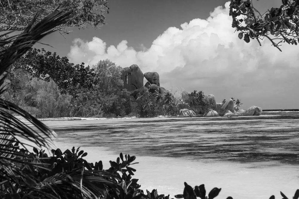 Stampa su tela – Spiaggia meravigliosa sull'isola di La Digue in bianco e nero