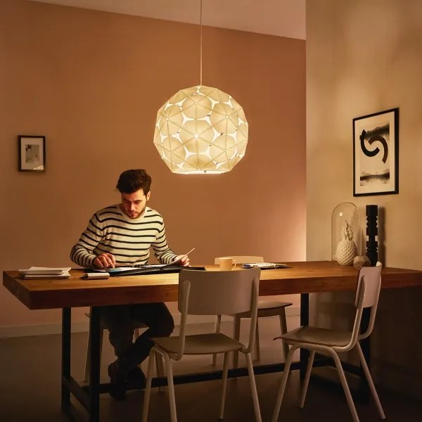 Philips 40914/21/PN - Lampada a sospensione MYLIVING CORKWOOD E27/60W/230V