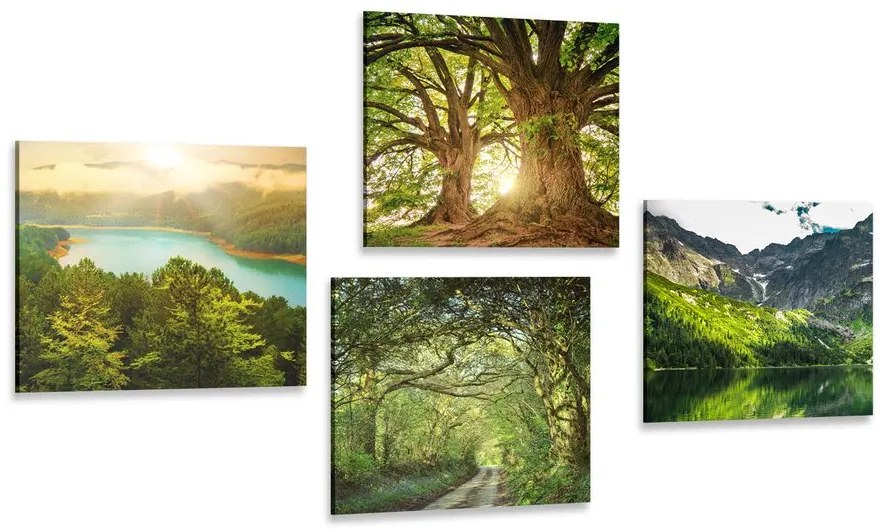 Set di quadri – Splendida natura verde
