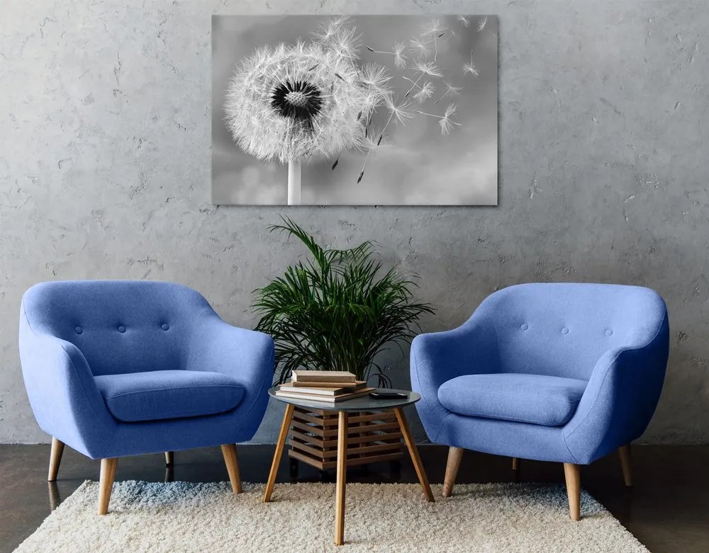 Quadro su tela – Soffione magico in bianco e nero