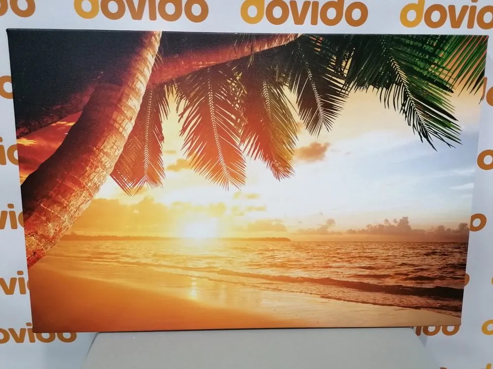 Quadro su tela – Alba sulla spiaggia caraibica