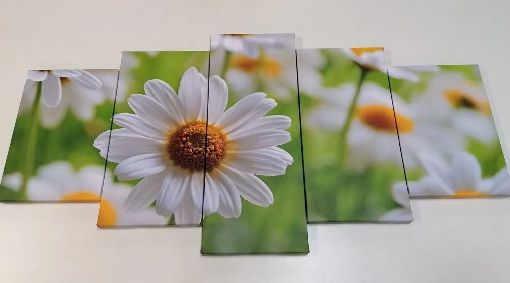 Quadri 5 pezzi – Prato primaverile pieno di fiori