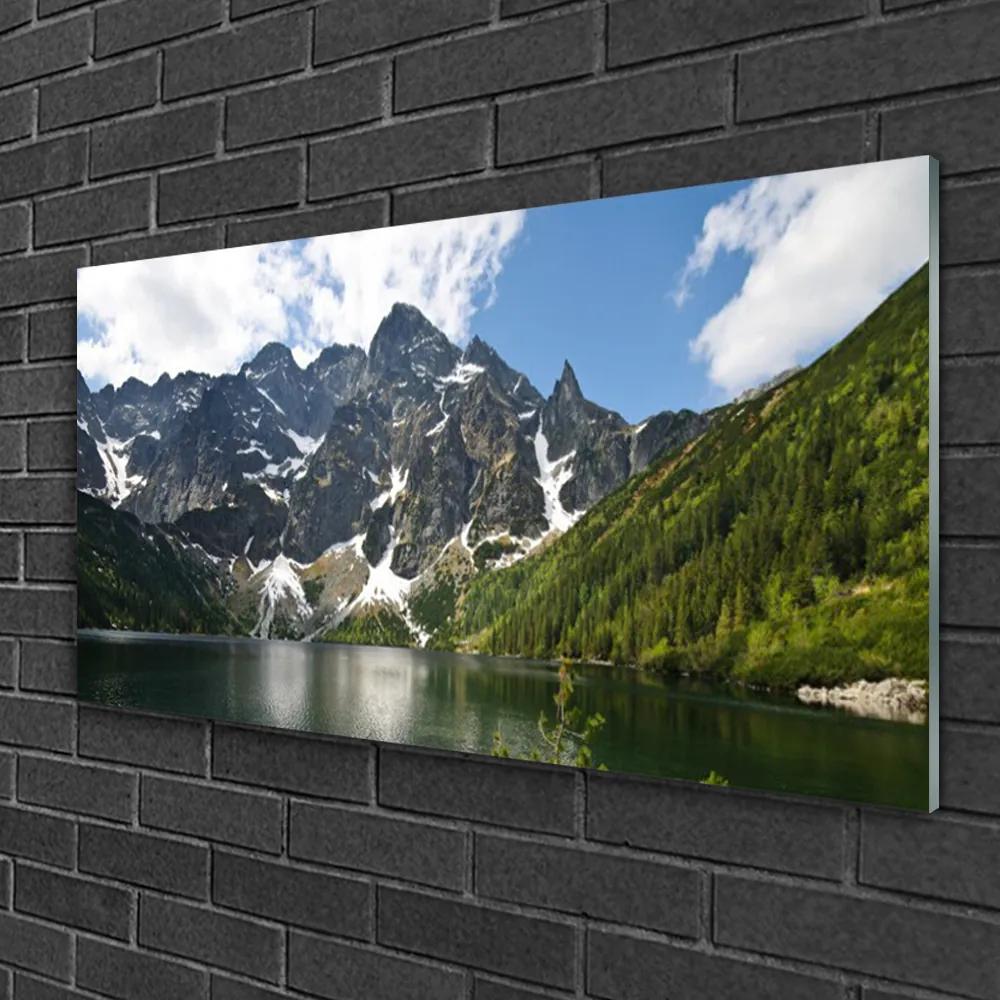 Quadro di vetro Paesaggio forestale del lago di montagna 100x50 cm