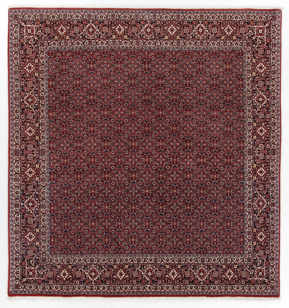 Bidjar Tappeto 220 x 200 (Iran) Annodato A Mano