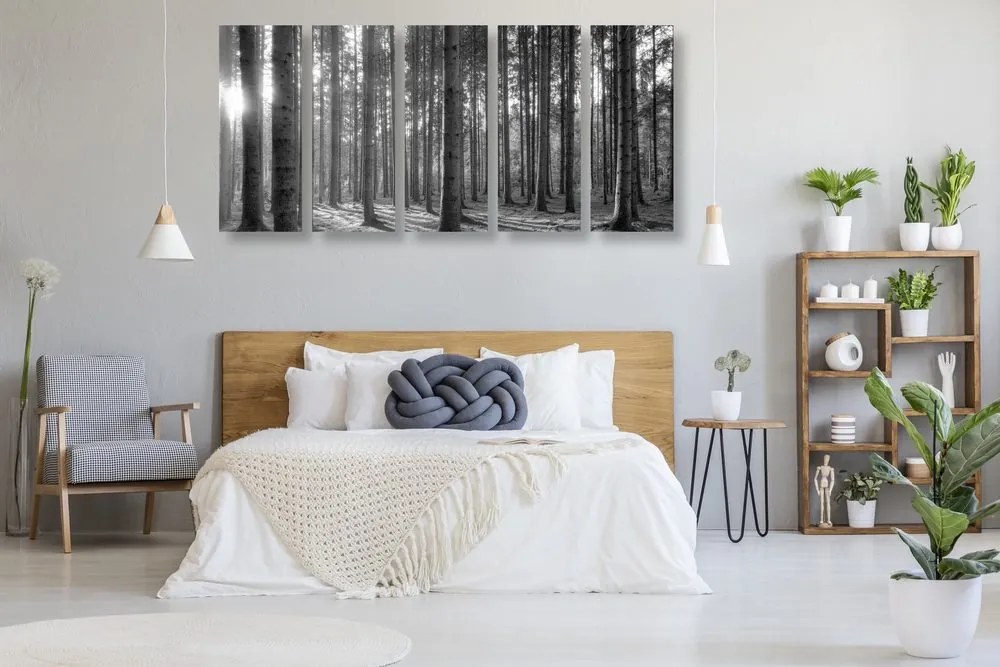 Quadri 5 pezzi – Mattina nella foresta in bianco e nero