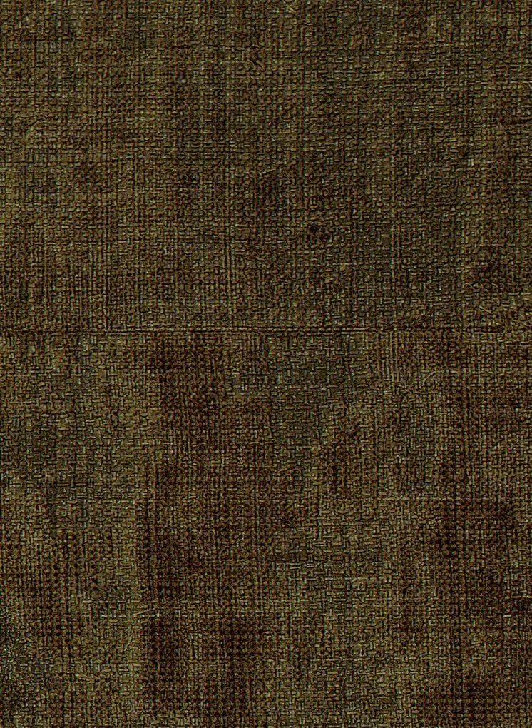 Élitis Carta da parati Atelier d'Artiste - VP 880 64