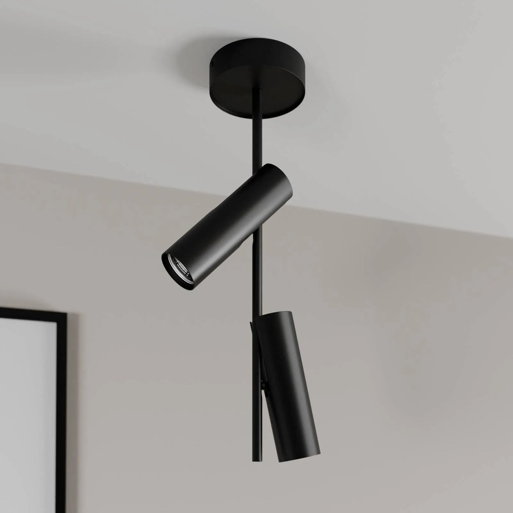 SIGMA Faretto da soffitto Leda 2, 2 luci, nero