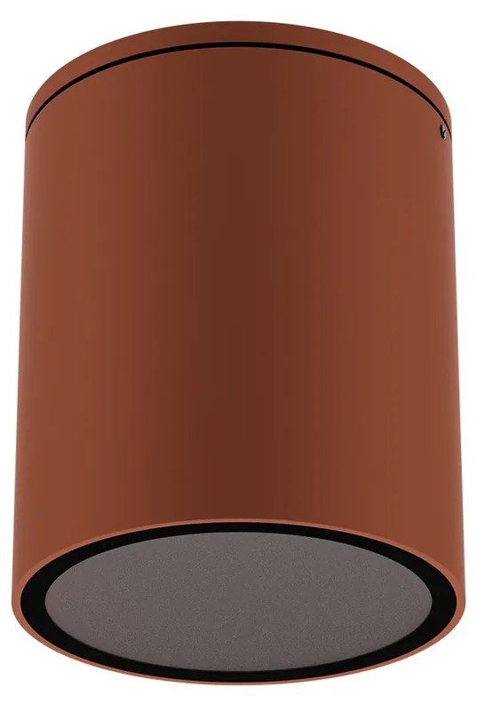 Applique da soffitto Cilindrica PAR30 IP54 in Alluminio e Vetro - Corten
