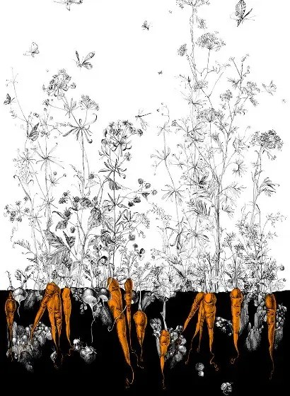 Edmond Petit Carta da parati Lièvres/Fenouil/Tournesol - Noir Orange - Fenouil Sauvage Droit - Noir Orange Doré