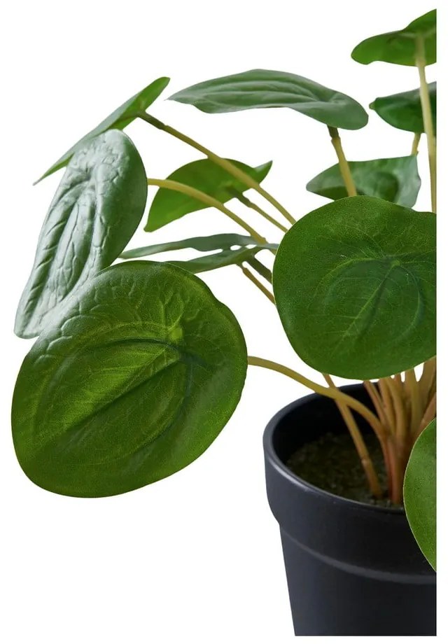 Pianta artificiale (altezza 28 cm) Pelia - House Nordic
