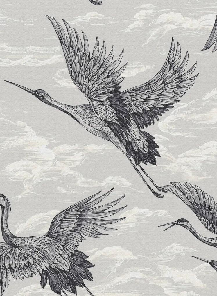 Coordonne Carta da parati Imperial Ibis - Swan