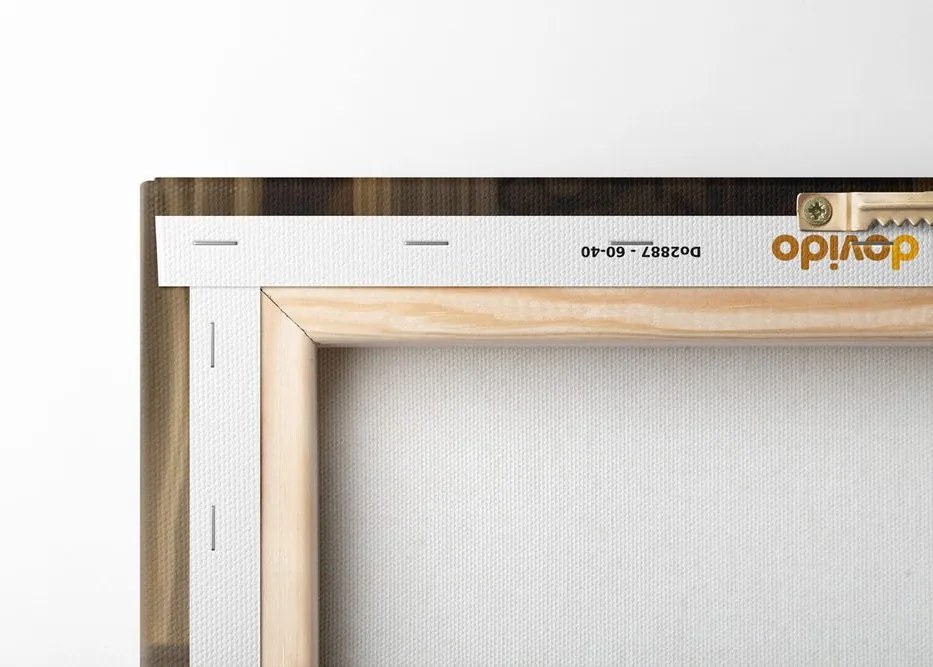 Quadro su tela – Bradipo con giornale in bagno