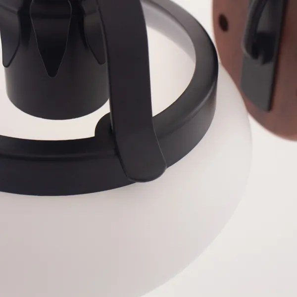 Rabalux 7077 - Applique PETRONEL E27/60W/230V