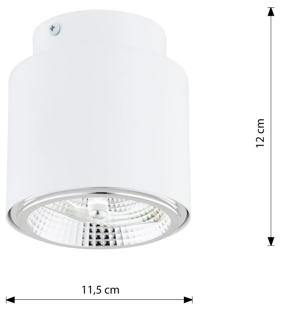 Plafoniera Moderna 1 Luce Faretto Nano In Acciaio Bianco