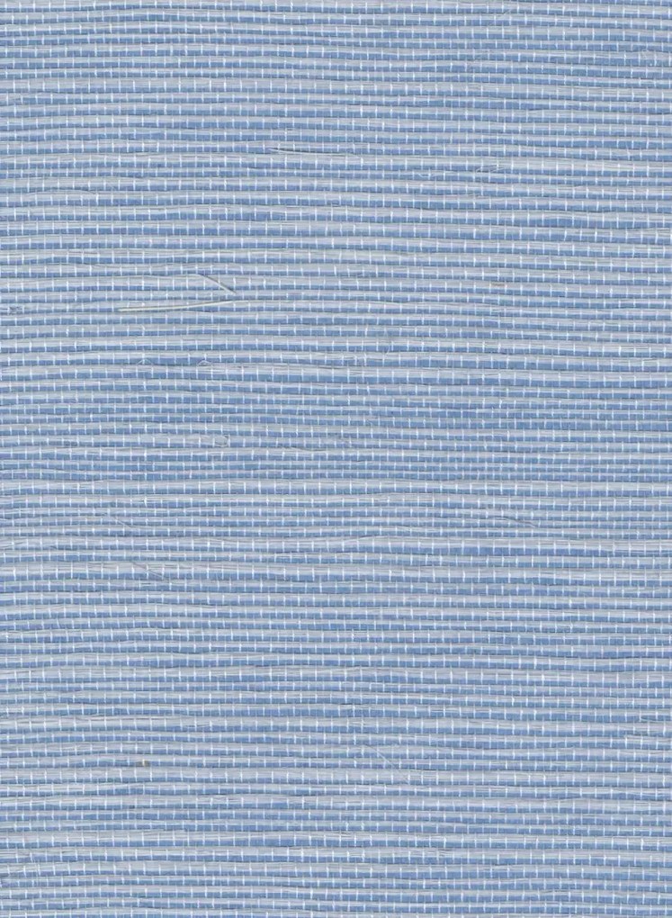 Élitis Tapete Sisal - RM 1069 42