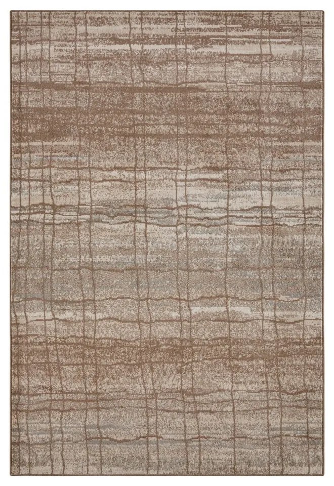 Tappeto marrone/beige 120x170 cm Terrain – Hanse Home