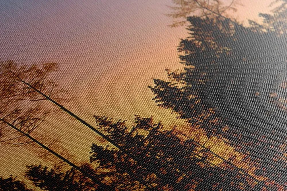 Quadro su tela – Foresta avvolta nell'oscurità