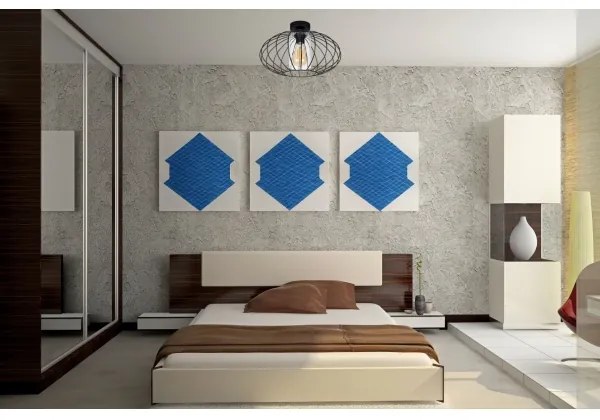 Lampadario a plafone CORRINI 1xE27/60W/230V diametro 34 cm nero/limpido