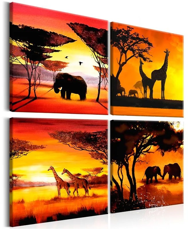 Quadro  African Animals (4 Parts)  Colore Nero, Dimensioni e Misure 60x60