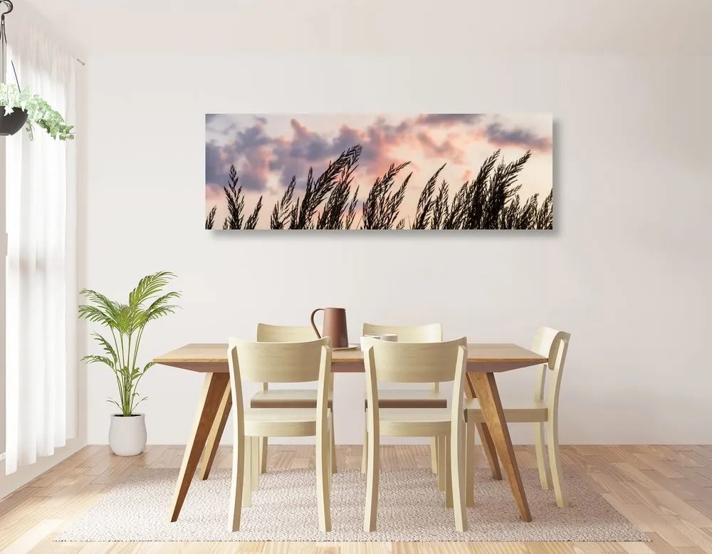 Quadro su tela – Spighe di erba lunga