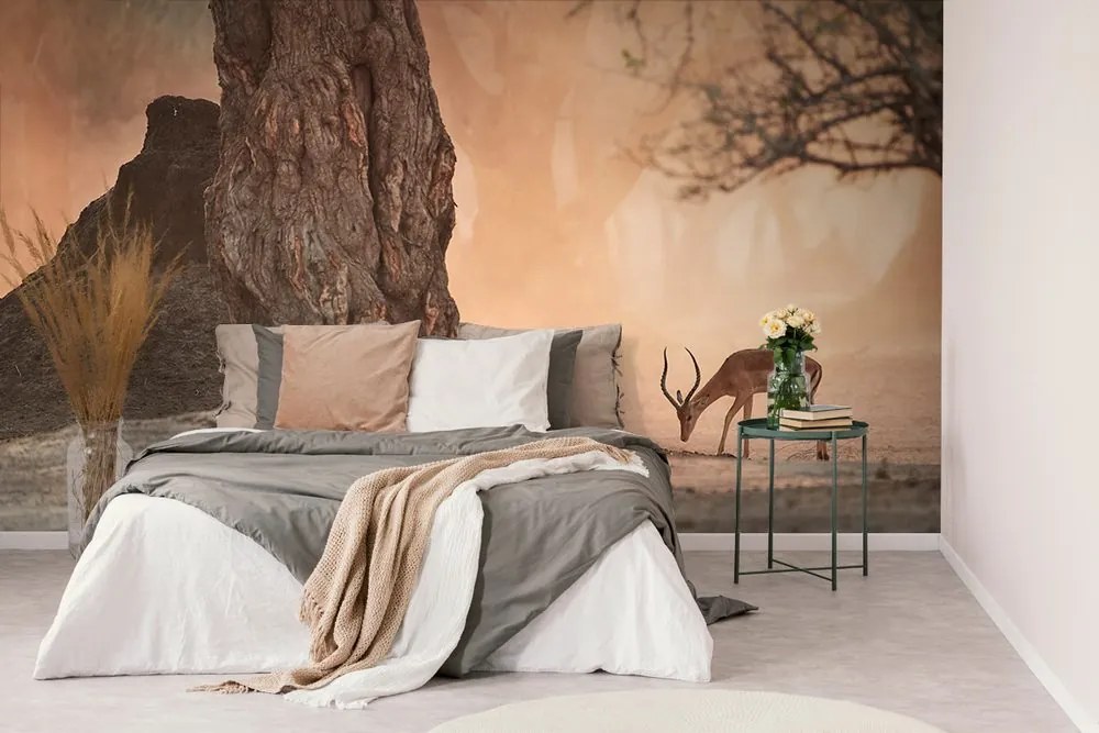 Carta da parati autoadesiva – Antilope africana