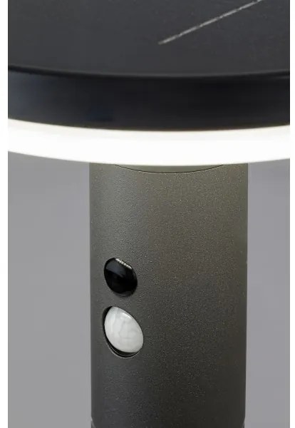 Rabalux 77018 - Luce solare a LED con sensore ALASKA LED/10W/3,7V IP44