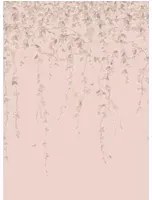 Cole & Son Carta da parati Hummingbirds Flora - Stone on Rose Quartz