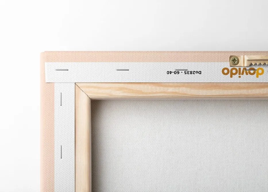 Quadro su tela – Foglie Peach Fuzz